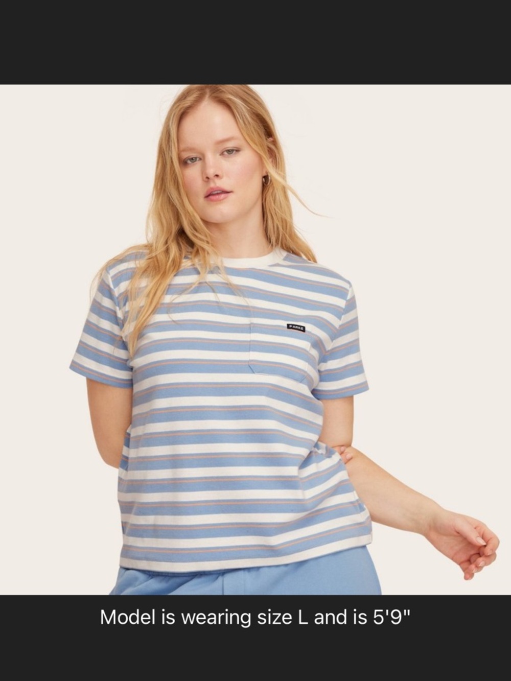 Striped Pocket Tee in Light Blue and White